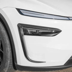 Carbon fiber trim installed around the front light for a sporty look.