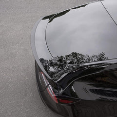 Performance Spoiler for Model Y - TESDADDY