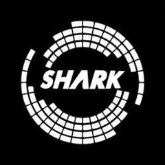 Puddle Light For BYD Shark 6 (2024-2026)