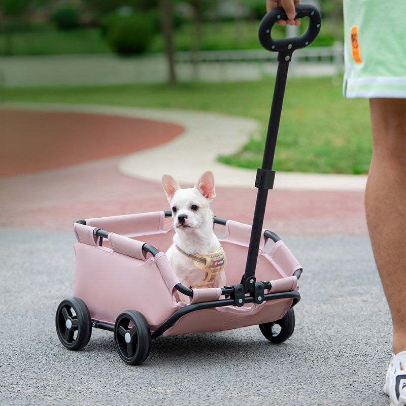 PawRoll Compact Pet Stroller