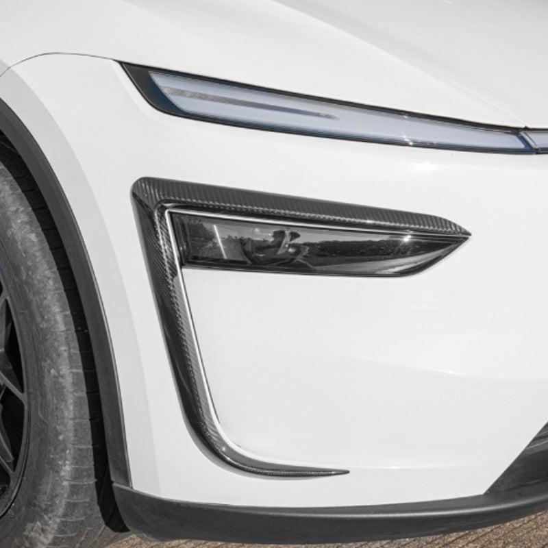 Carbon fiber trim installed around the front light for a sporty look.