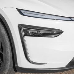 Carbon fiber trim installed around the front light for a sporty look.