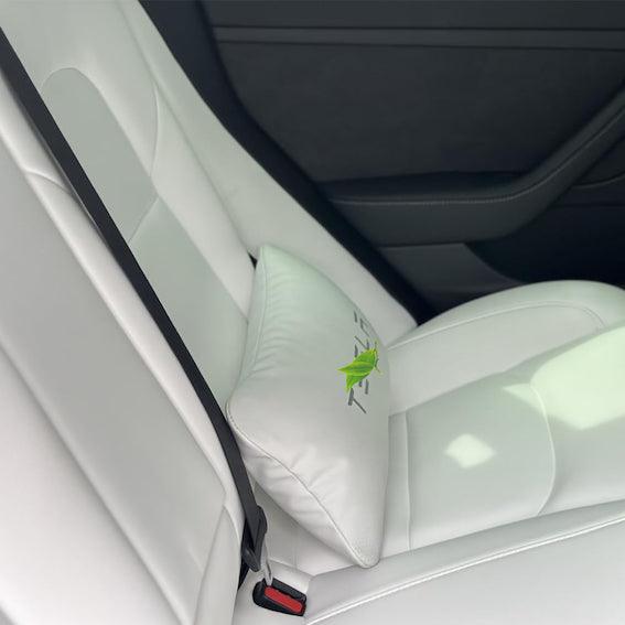 Neck and Lumbar Support Pillow Pack- TESDADDY