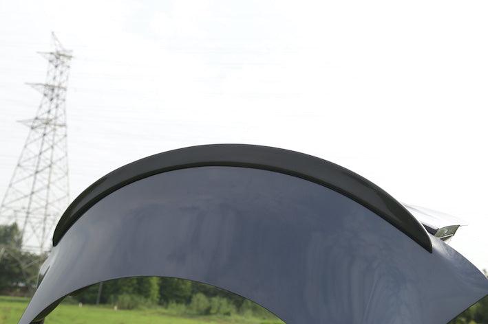 Performance Spoiler Real Carbon Fibre For Model 3 - TESDADDY